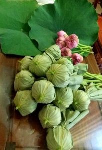 Trà Sen Sấy Khô